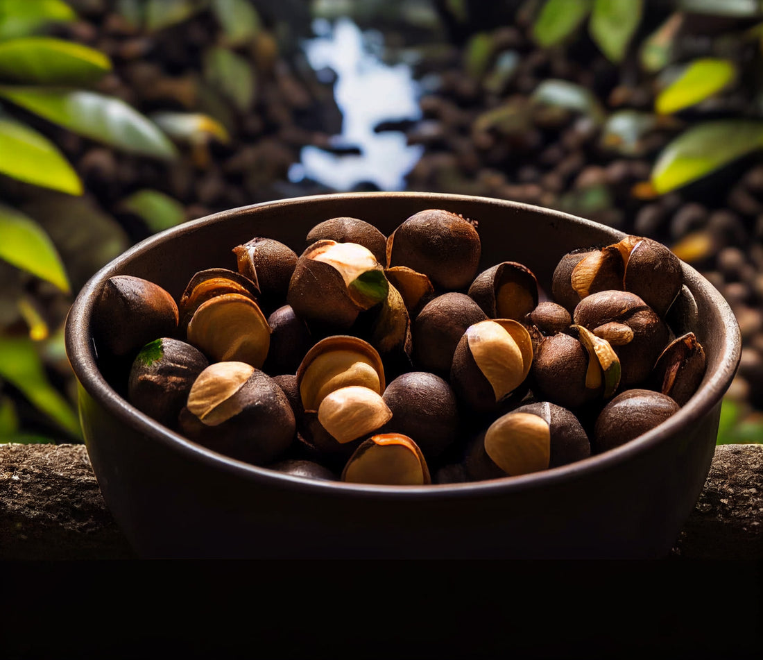 a bowl of raw kukui nuts in a tropical rainforest with plants and waterfall in the background